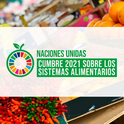 Cumbre de los Sistemas Alimentarios 2021